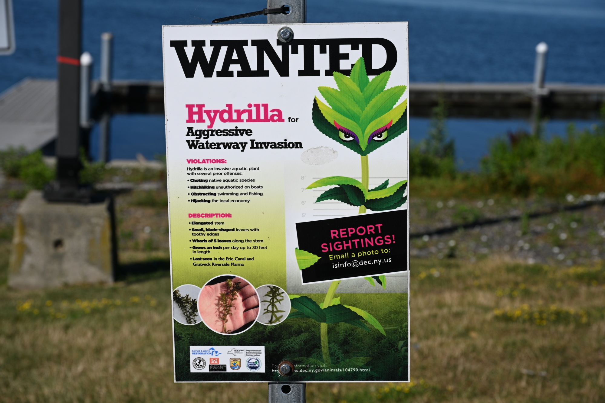 Invasive Species Sign