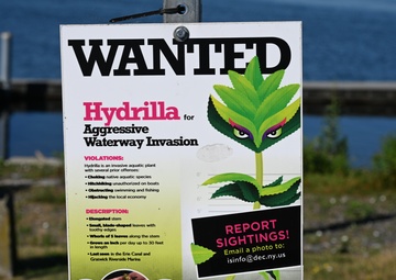 Hydrilla Signage Warns Boaters of Invasive Species