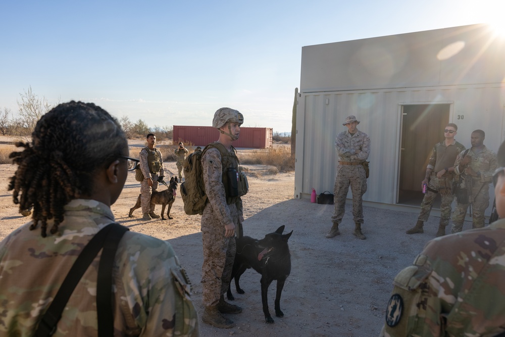 Joint training exercise