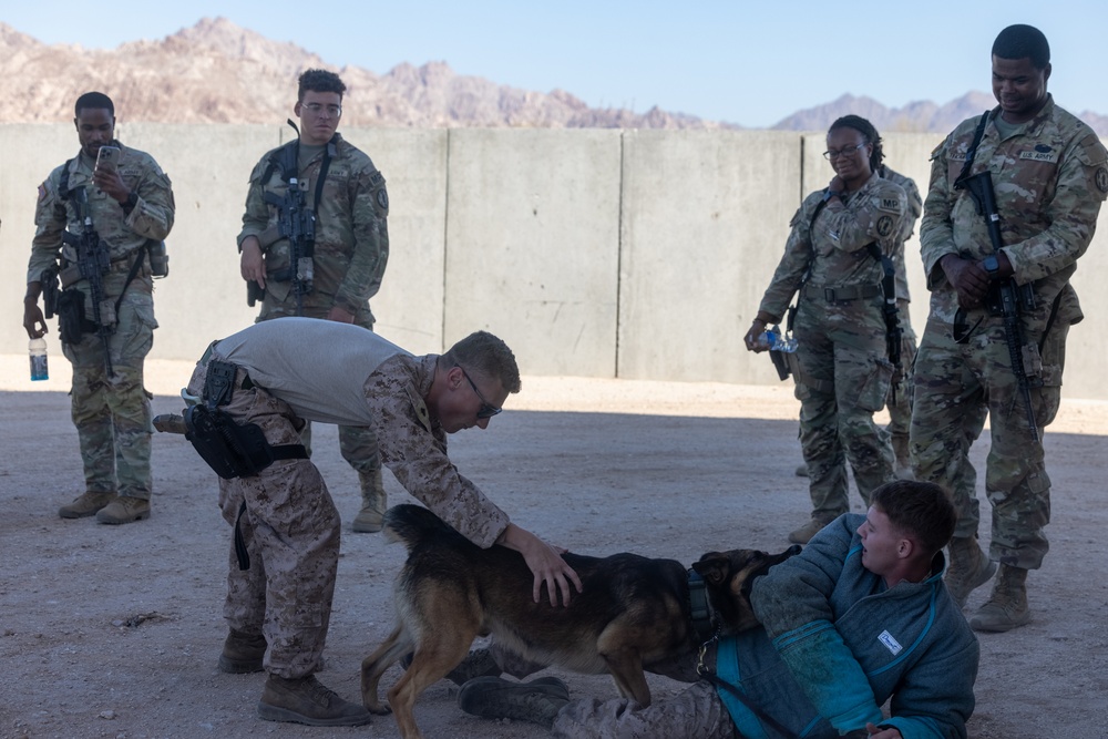 Joint training exercise