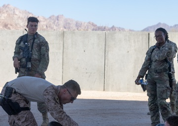 Joint training exercise