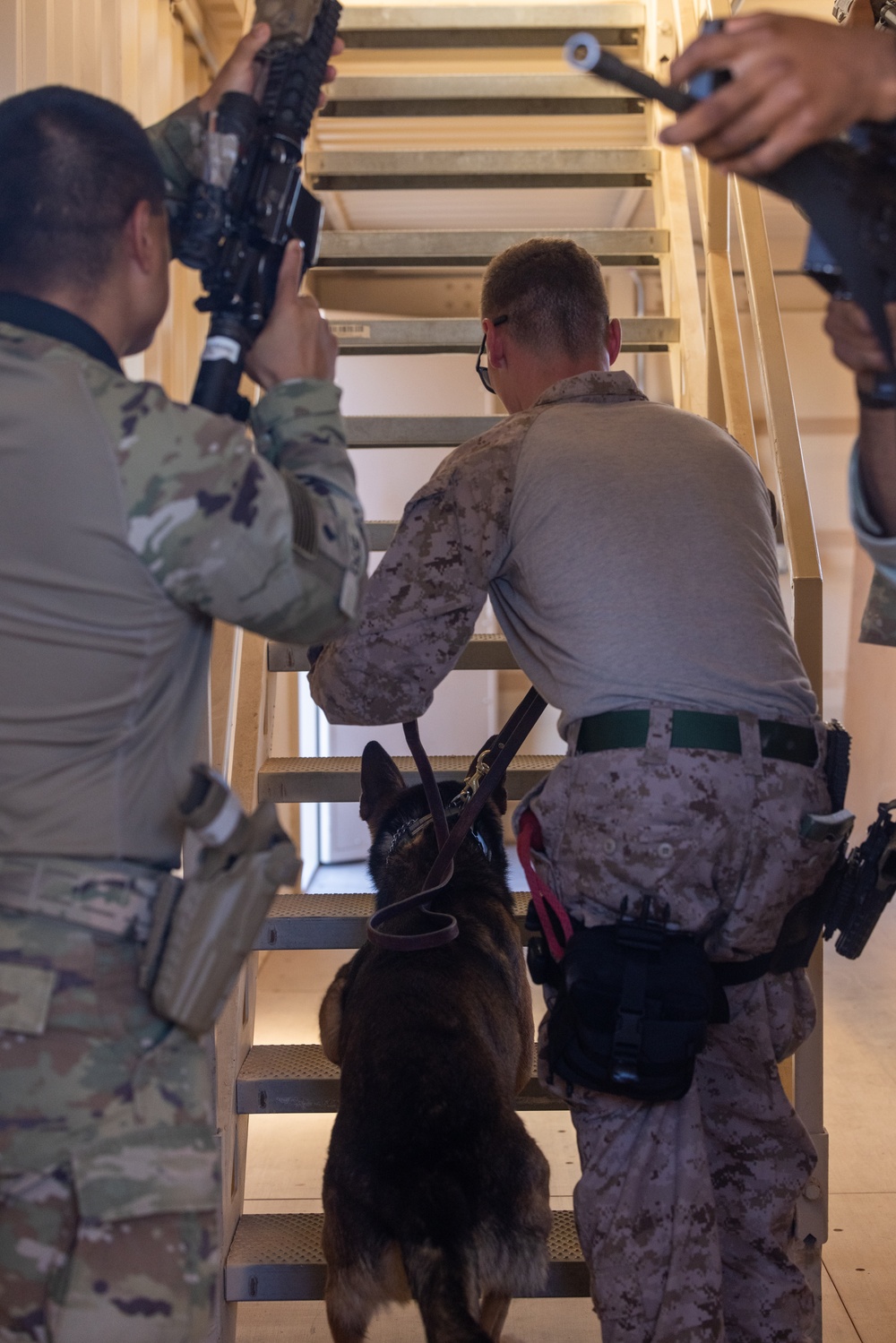 Joint training exercise
