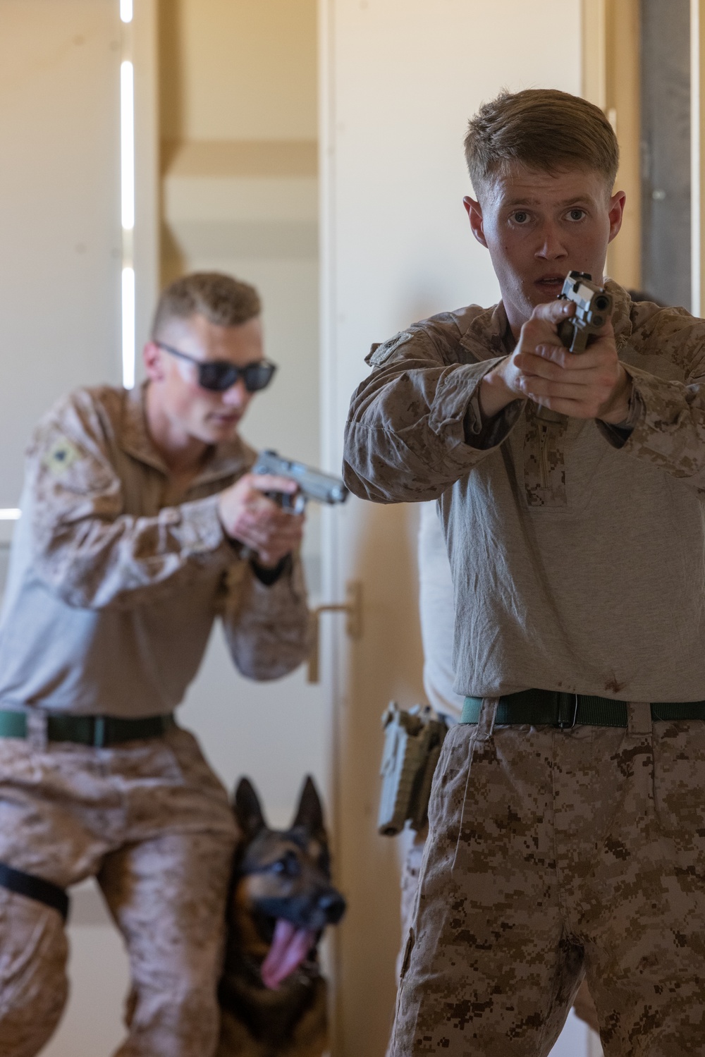 Joint training exercise