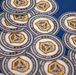 The Department of Defense (DoD) Cyber Service Academy (CSA) Boot Camp