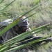 Air Force Tactical Air Control Party Trainees Conduct Field Training Exercise