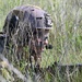 Air Force Tactical Air Control Party Trainees Conduct Field Training Exercise