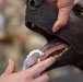 Canine Tactical Combat Casualty Care Course