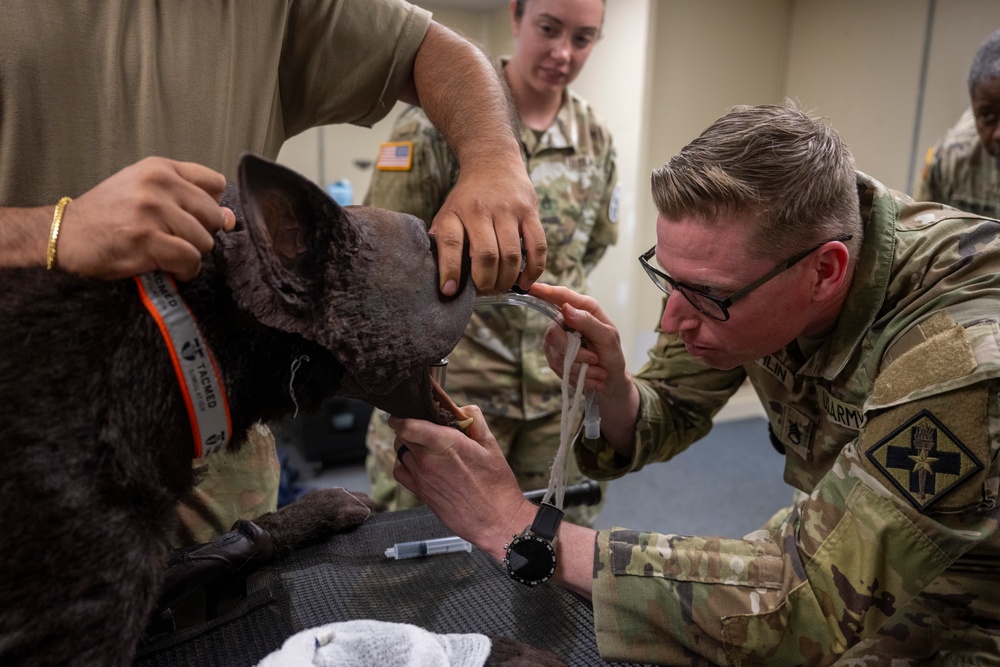 Canine Tactical Combat Casualty Care Course