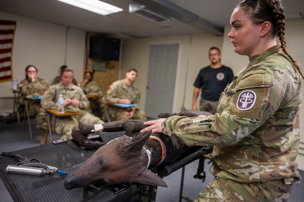 Canine Tactical Combat Casualty Care Course