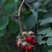 Environmental Diversity At The Swatara State Park