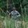 Field Testing Communication Equipment