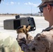 U.S. Soldiers train Task Force Forge Marines on Dronebuster C-sUAS