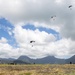 Freefalling: U.S. Army Special Forces Service Members Conduct Parachute Operations On MCBH