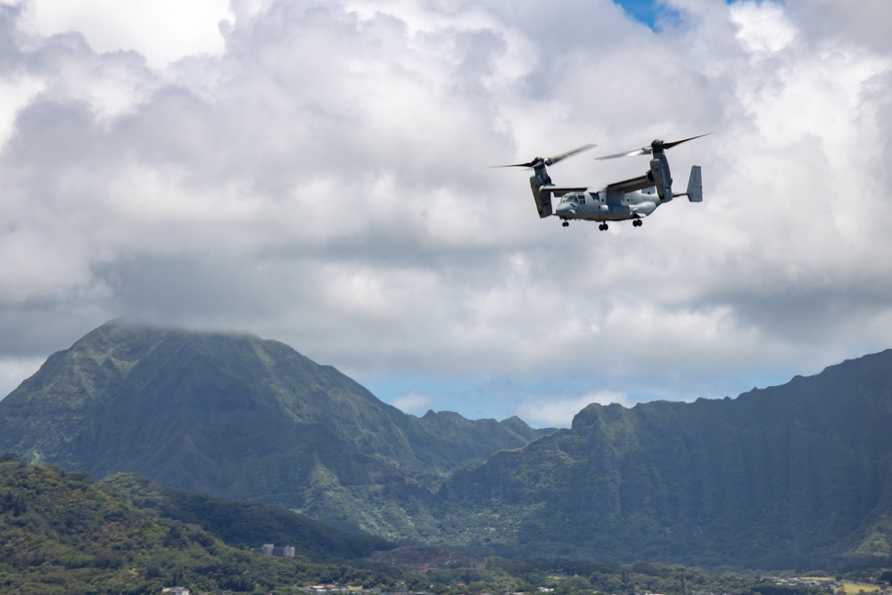 Freefalling: U.S. Army Special Forces Service Members Conduct Parachute Operations On MCBH