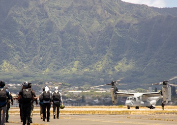 Freefalling: U.S. Army Special Forces Service Members Conduct Parachute Operations On MCBH