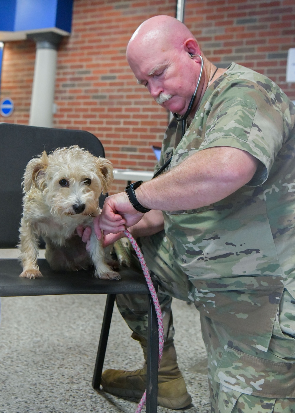 Service members provide no-cost care during IRT mission