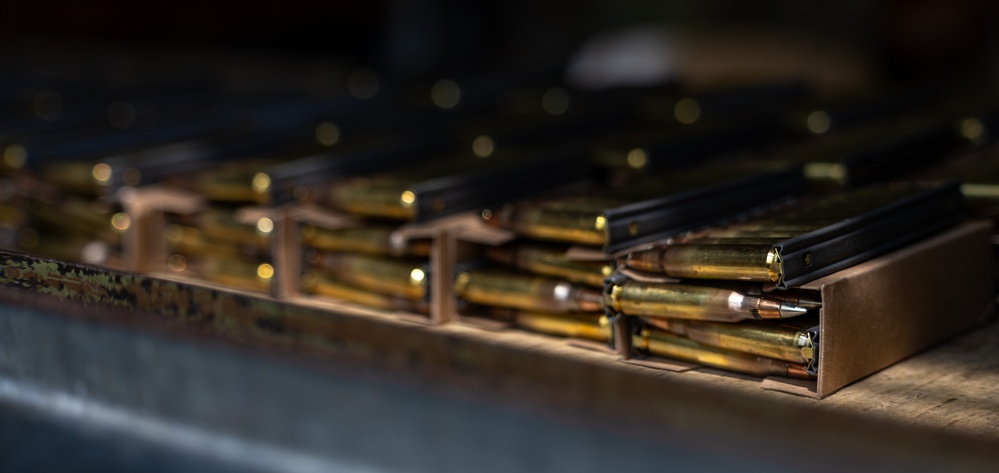 173rd Airborne Brigade Soldiers conduct M4 carbine qualification to prepare for Expert Soldier and Infantry Badge