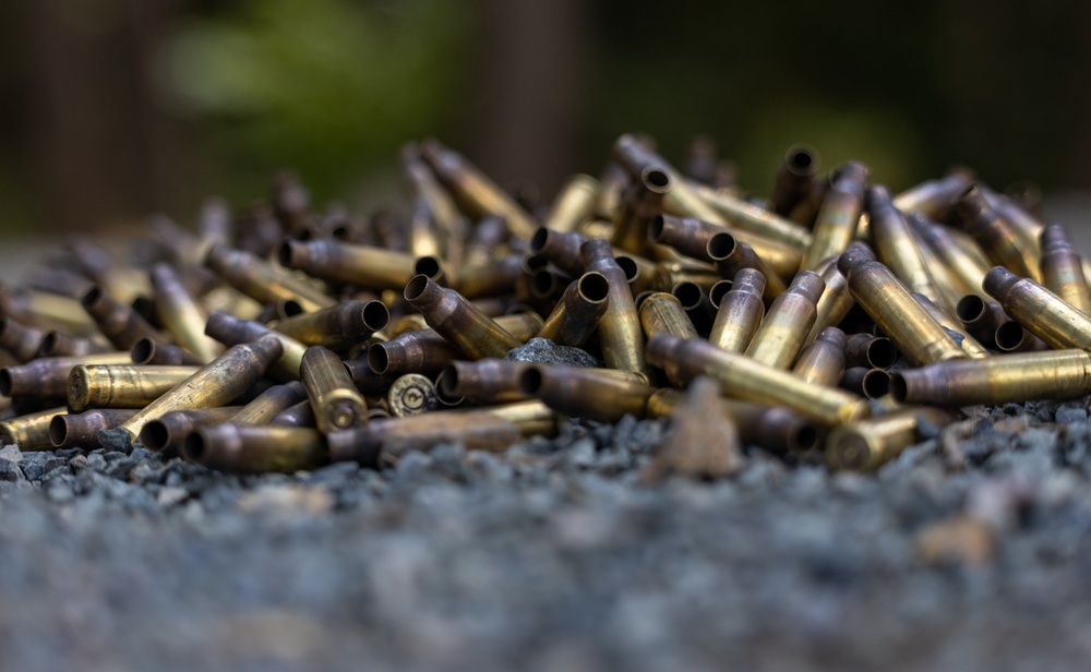 173rd Airborne Brigade Soldiers conduct M4 carbine qualification to prepare for Expert Soldier and Infantry Badge