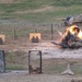 173rd Airborne Brigade Soldiers conduct demolition range to prepare for Expert Soldier Badge