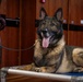 MWD Axel retires from 52nd SFS