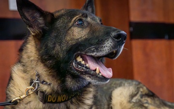 MWD Axel retires from 52nd SFS