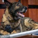 MWD Axel retires from 52nd SFS