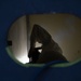 Airmen Train for Emergencies in Simulated Confined-Space Scenario
