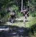 Civil Affairs Students Tested During Operation Sluss-Tiller Culmination Exercise