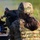 130th FAB Brings Grenade Power to the Qualification Line: Precision with Mk 19 and M320