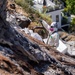 USACE supports Wildfire Debris Removal in Southern California