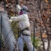 USACE supports Wildfire Debris Removal in Southern California