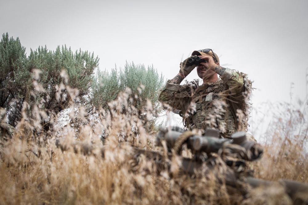 81st SBCT long range surveillance section trains for future transformations