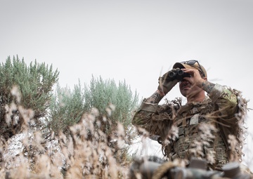 81st SBCT long range surveillance section trains for future transformations