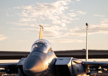 335th Fighter Squadron participates in RF-Nellis 25-3