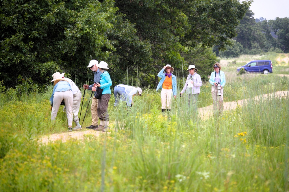 2025 butterfly field day held at Fort McCoy for group dedicated to natural resources management, care