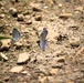 2025 butterfly field day held at Fort McCoy for group dedicated to natural resources management, care