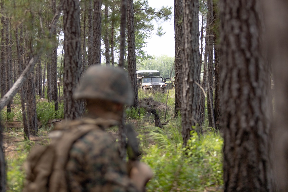 Townsend Bombing Range MWSS-273 field exercise
