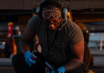 335th Fighter Squadron participates in RF-Nellis 25-3