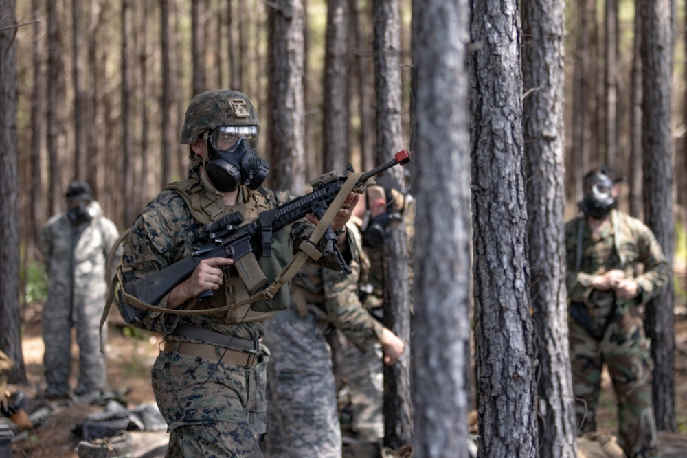 Townsend Bombing Range MWSS-273 field exercise