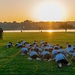 NSWAC at USNA Wrestling Camp
