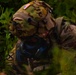 DEVIL AVALANCHE CBRN