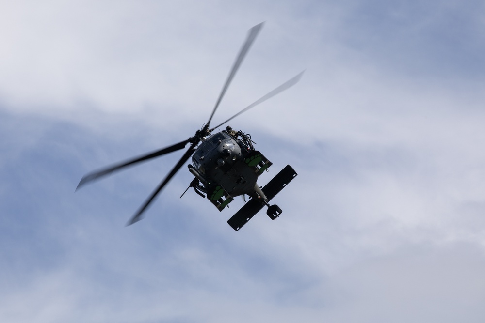 Alaska Air National Guardsmen showcase rescue demonstration during multi-agency hoist symposium