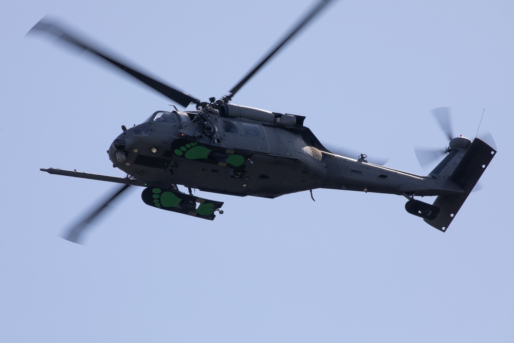 Alaska Air National Guardsmen showcase rescue demonstration during multi-agency hoist symposium