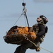 Alaska Air National Guardsmen showcase rescue demonstration during multi-agency hoist symposium