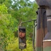 Validating Patriot Radar Capabilities During Talisman Sabre 2025