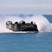 Japanese and U.S. Amphibious Exercise