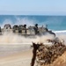 Japanese and U.S. Amphibious Exercise
