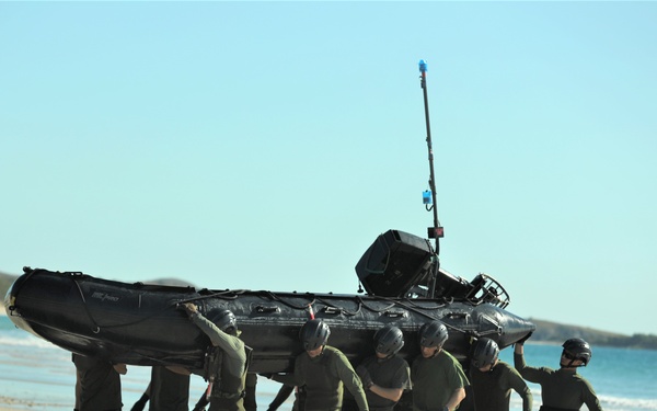 Japanese and U.S. Amphibious Exercise