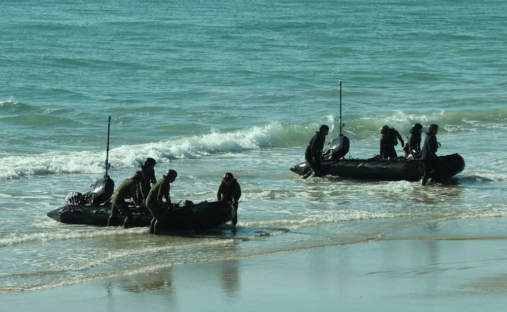 Japanese and U.S. Amphibious Exercise