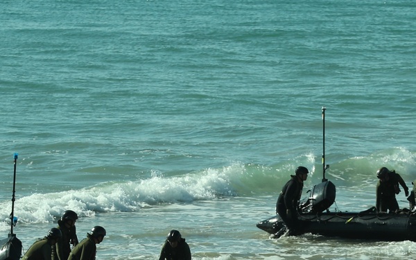 Japanese and U.S. Amphibious Exercise